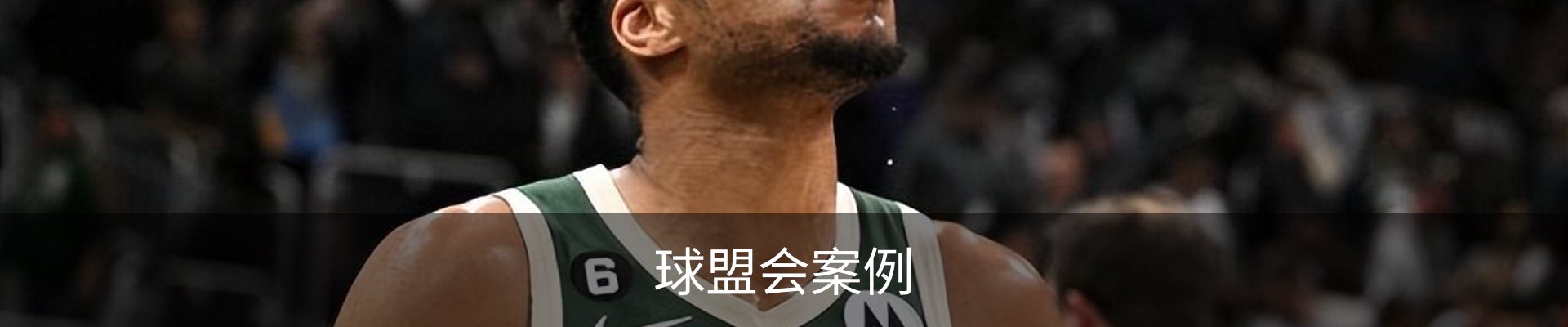 球盟会案例